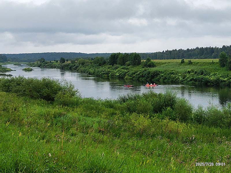 2025-07-26_09-01-52-800