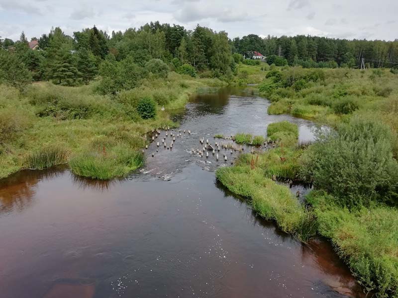 5264878518003694860-800