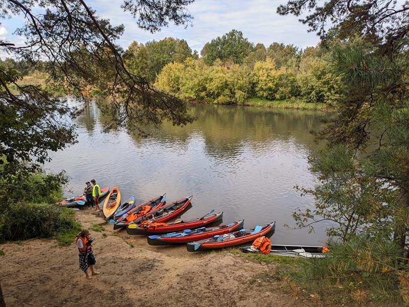 5328185665931835044-800